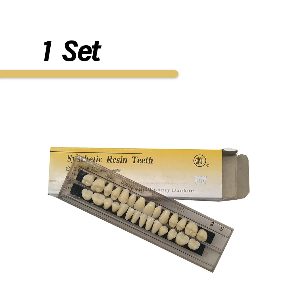 28Pcs/Sets Dental Synthetic Resin Teeth Composite Color High Wear Resistant JIANMEI Resin Teeth Dental Education Model