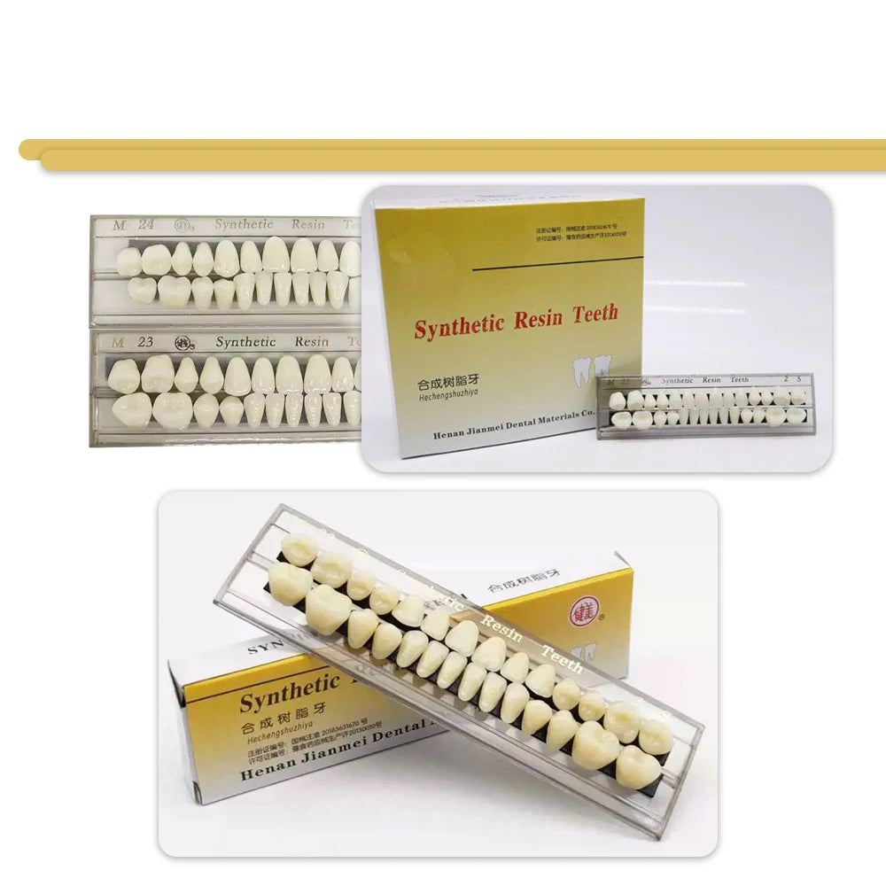 28Pcs/Sets Dental Synthetic Resin Teeth Composite Color High Wear Resistant JIANMEI Resin Teeth Dental Education Model