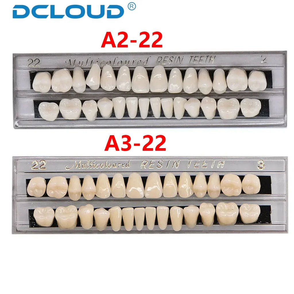 28 Teeth Dental Denture Acrylic Resin Full Teeth Upper Lower Shade 22# 23# A2/A3 False Teeth Research On Dentist Education Model