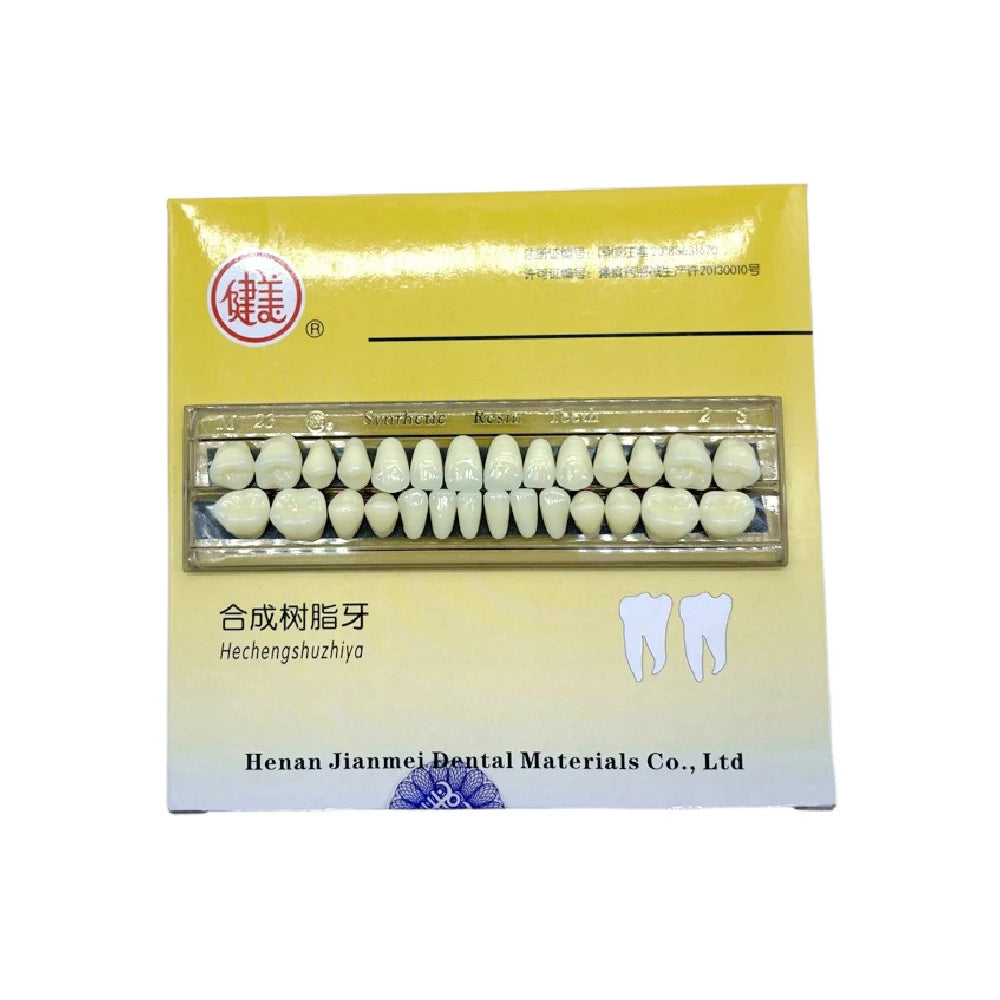 28Pcs/Sets Dental Synthetic Resin Teeth Composite Color High Wear Resistant JIANMEI Resin Teeth Dental Education Model