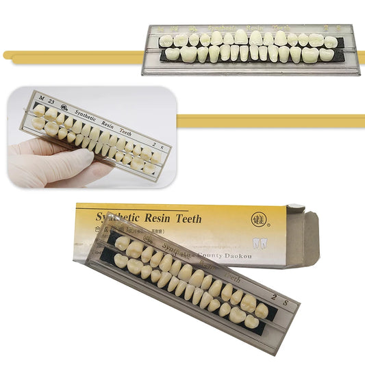 28Pcs/Sets Dental Synthetic Resin Teeth Composite Color High Wear Resistant JIANMEI Resin Teeth Dental Education Model