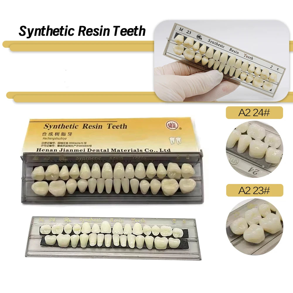 28Pcs/Sets Dental Synthetic Resin Teeth Composite Color High Wear Resistant JIANMEI Resin Teeth Dental Education Model