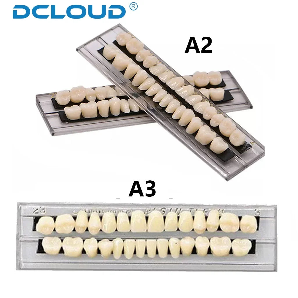 28 Teeth Dental Denture Acrylic Resin Full Teeth Upper Lower Shade 22# 23# A2/A3 False Teeth Research On Dentist Education Model