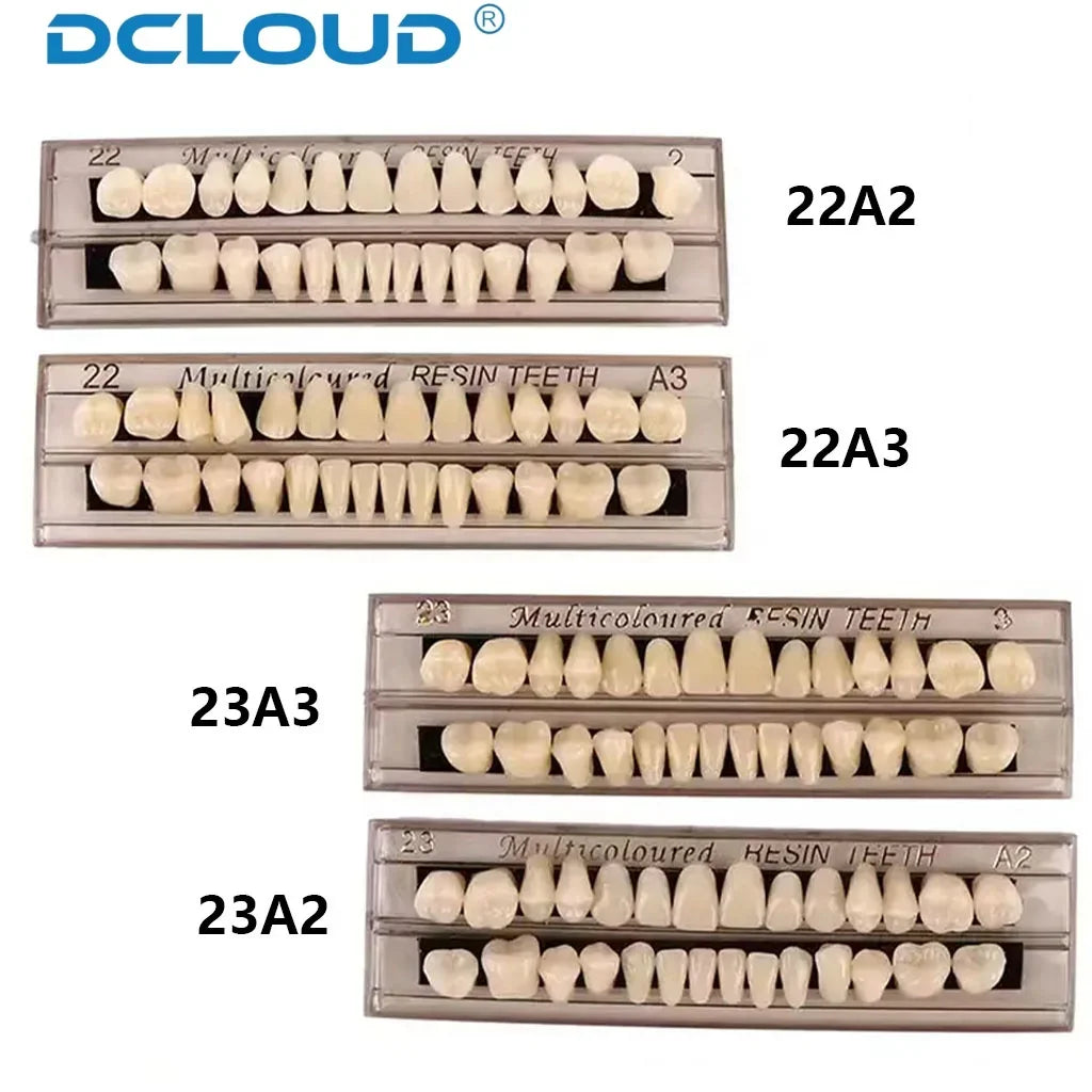 28 Teeth Dental Denture Acrylic Resin Full Teeth Upper Lower Shade 22# 23# A2/A3 False Teeth Research On Dentist Education Model