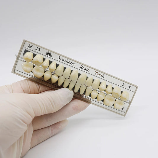 28Pcs/Sets Dental Synthetic Resin Teeth Composite Color High Wear Resistant JIANMEI Resin Teeth Dental Education Model